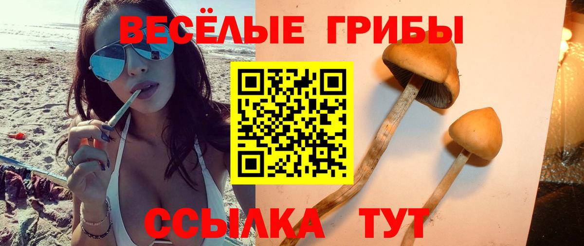 Коммунар  Псилоцибиновые грибы прущие грибы  Вход с VPN 